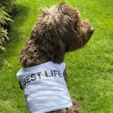 1_BestLife-share-190