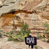 BestLife-328