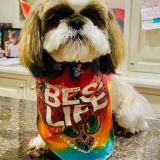 BestLife-share-222