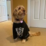 BestLife-share-244
