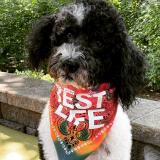 BestLife-share-291