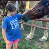 BestLife-share-294